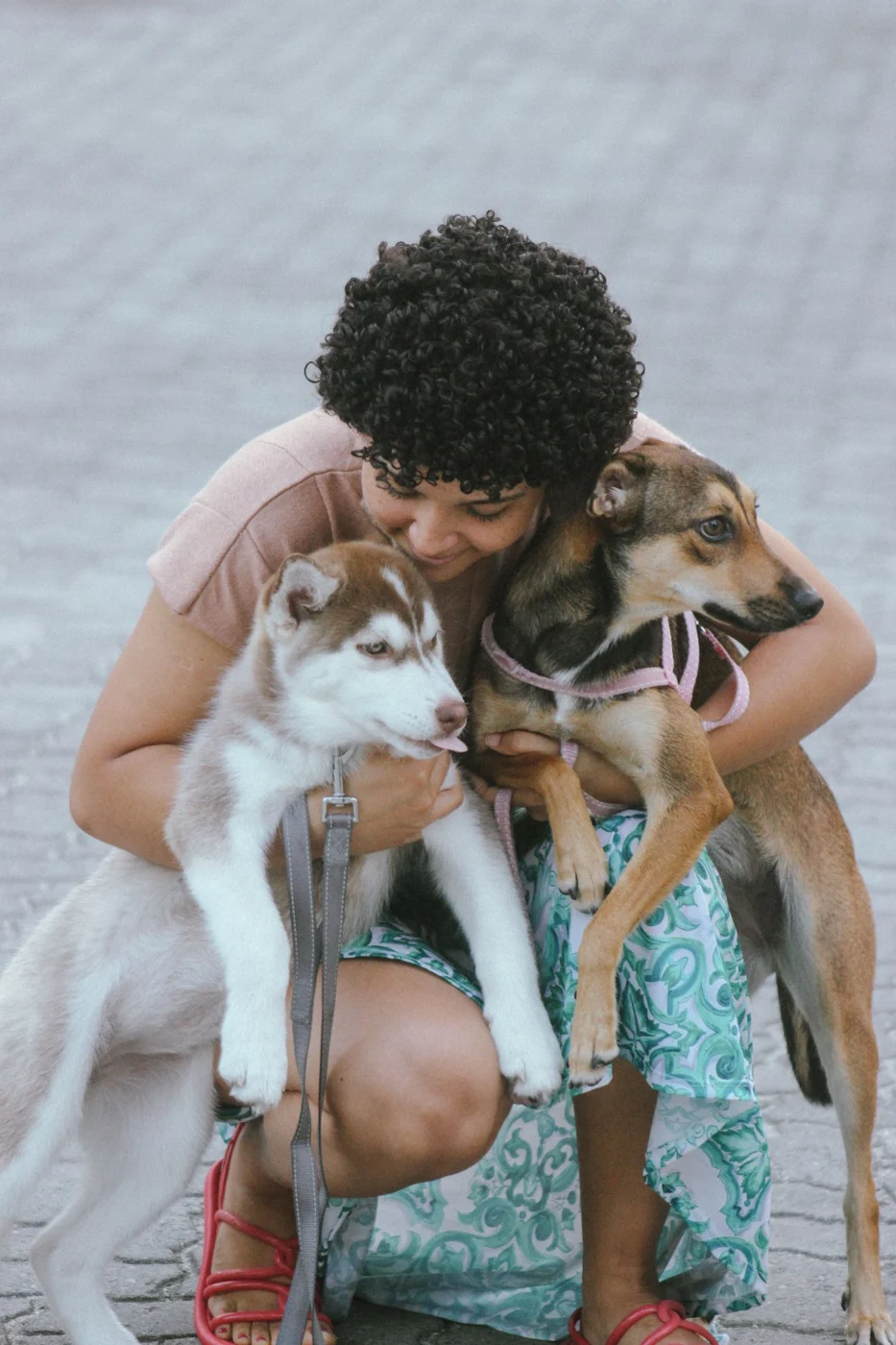 A person embracing two dogs outdoors