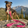 Round rope dog leash multi-way outdoor walking setup