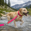 Multi-way rope dog leash for hands-free crossbody walks