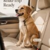 Shock-Absorbing Bungee Dog Leash with Car Seat Buckle – photo 4