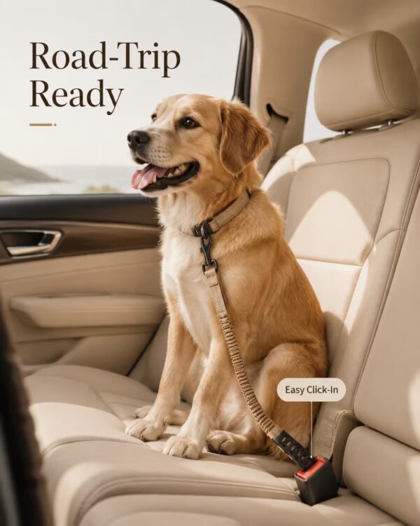 Car-Ready Bungee Leash — image 4