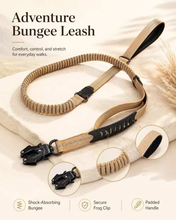 Car-Ready Bungee Leash — image 3
