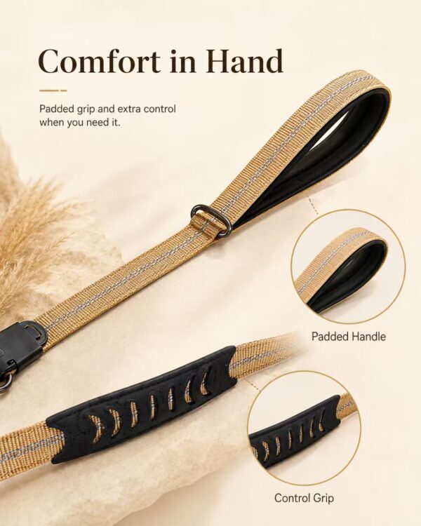 Car-Ready Bungee Leash — image 2