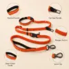 Hands-free dog leash shock-absorbing bungee for runs