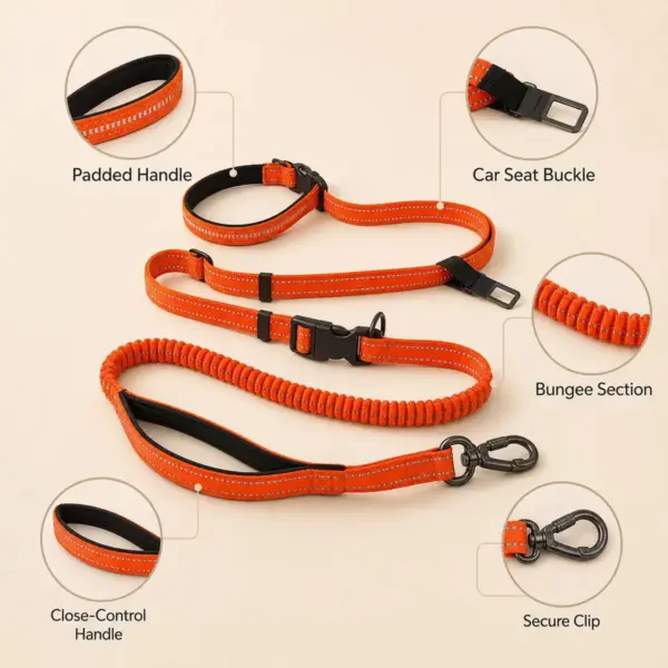 Hands-free dog leash shock-absorbing bungee for runs