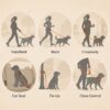 Hands-free dog leash with car seat buckle clip detail