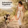 Multi-function hands-free dog leash for walking and travel