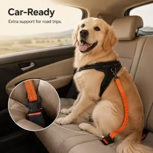 Hands-free bungee dog leash car seat belt mode