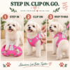 Breathable dog harness for small dogs walking outdoor