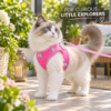 Breathable small dog harness back clip attachment