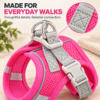 Soft mesh breathable dog harness for small breeds