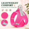 Breathable small dog harness full product set view