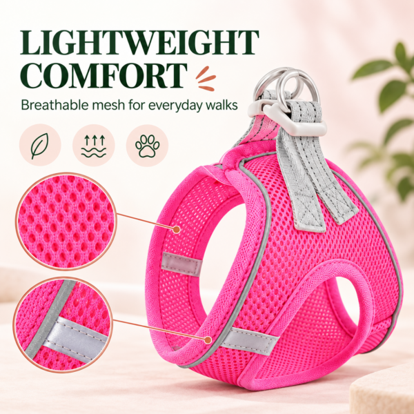 Breathable small dog harness full product set view