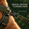 Short Frog Clip Dog Leash for Close Control – photo 6