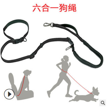 One Leash, Several Setups: How to Use a Multi-Function Dog Leash