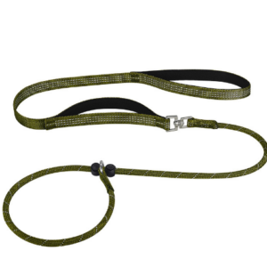 PawFurvia Slip Rope Dog Leash