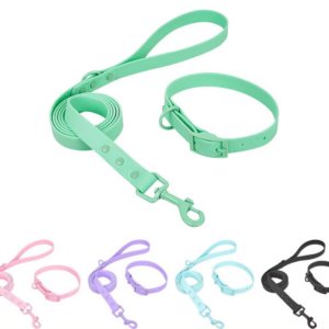 Color-Matched Waterproof Dog Collar and 5 ft Leash Set