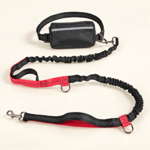 Gray dual retractable dog leash with adjustable waist belt and accessory options arranged as a complete set.
