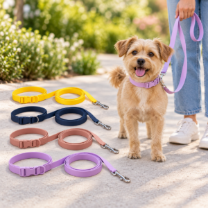 Tan dog wearing a lavender soft PVC coated collar with matching leash; yellow, navy, rose and lavender colorways displayed