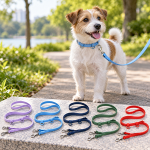 Small dog wearing a sky blue waterproof collar from the color range with matching collar and lead options