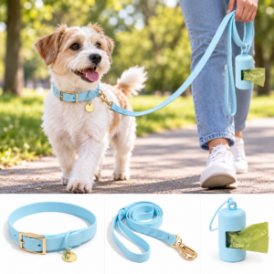Small dog wearing a sky blue waterproof collar with matching leash and waste bag holder on a park walk