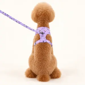 Apricot poodle wearing the purple patterned harness and matching leash, rear viewillustration)
