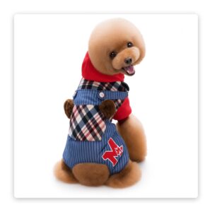 PawFurvia Pet Hoodie, Red & Green, Sizes S–3XL - main