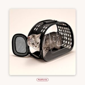 PawFurvia Transparent Bubble Space-Capsule Pet Backpack