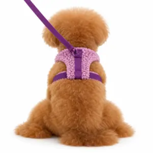 illustration of PawFurvia KLN19084B purple fleece dog harness and leash