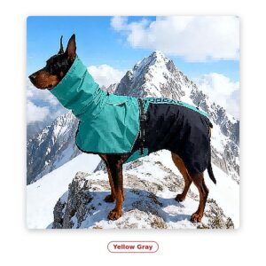 PawFurvia Pet Outdoor Jacket – Waterproof, Multiple Colors, Sizes 2XL–6XL - alt color