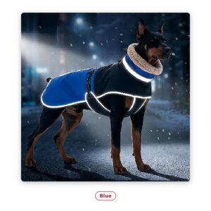PawFurvia Pet Outdoor Jacket – Padded, Multiple Colors, Sizes L–6XL - alt color