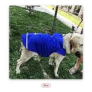 PawFurvia Dog Raincoat – Hooded, Multiple Colors, Sizes 3XL–5XL - alt color