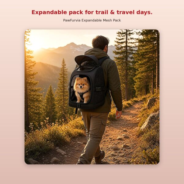 Expandable Mesh Pet Backpack with Sunshade — image 8