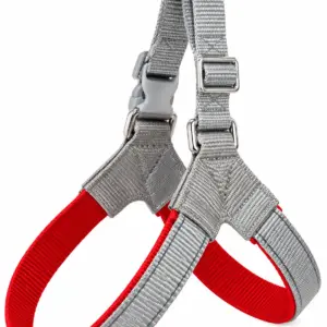 Gray dog harness with red trim
