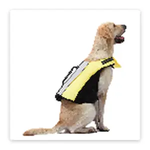 PawFurvia Dog Life Jacket – Chin Float, Multiple Colors, Sizes S–L - main