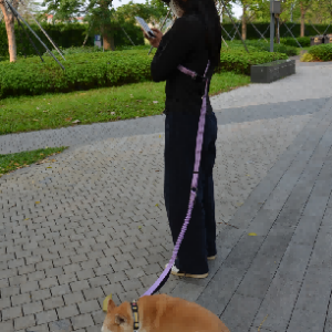 PawFurvia Pet Leash in Purple or Black