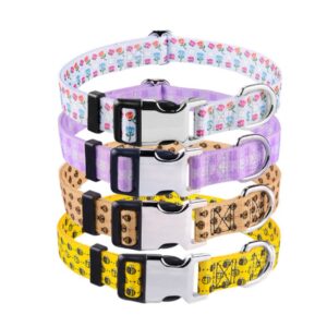 PawFurvia Pattern Dog Collar with Hybrid Buckle
