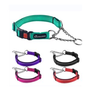 PawFurvia Stainless Chain Training Collar for Secure Fit