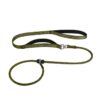 PawFurvia Slip Rope Dog Leash for Quick On-and-Off Walks