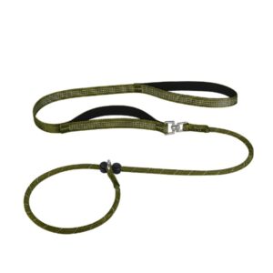 PawFurvia Slip Rope Dog Leash for Quick On-and-Off Walks